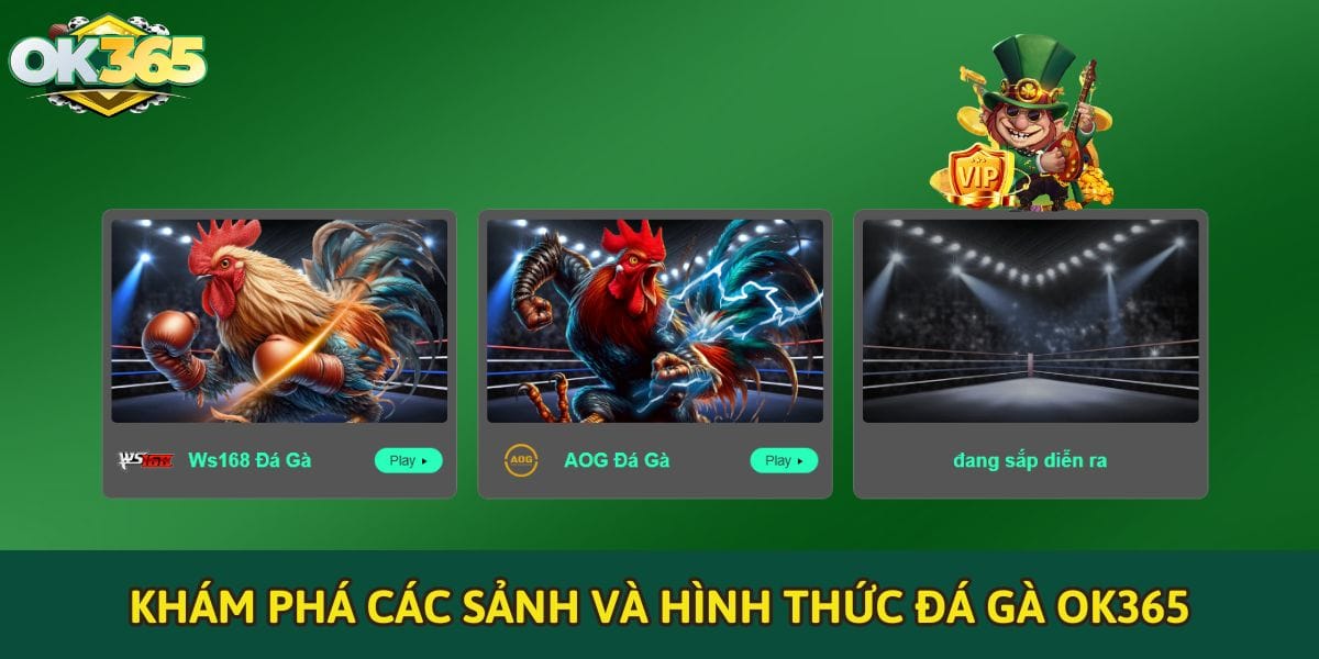 Khám phá các sảnh và hình thức đá gà OK365